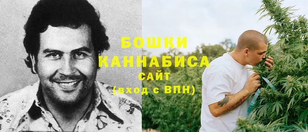 ГАЛЛЮЦИНОГЕННЫЕ ГРИБЫ Армянск
