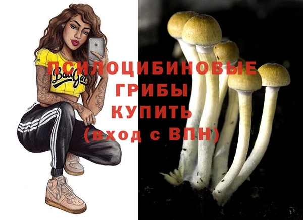 первитин Арсеньев